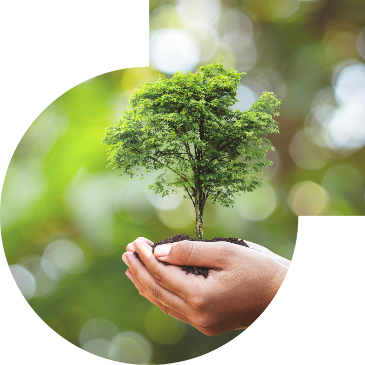 关怀人类、文化、环境与社会